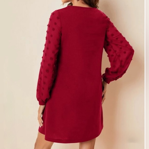 Red Swiss Dot Sheer Sleeve Dress - Picture 4 of 9